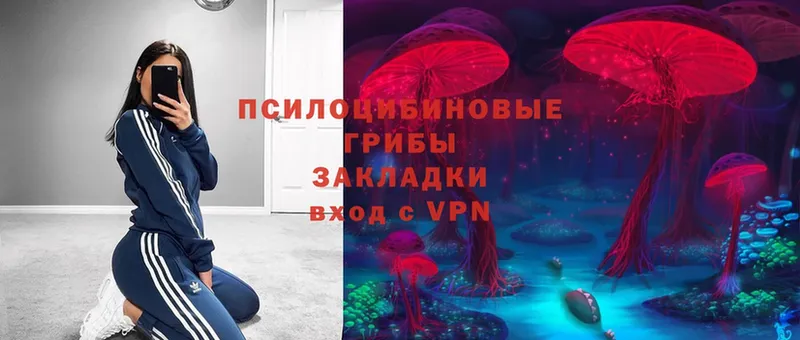 Галлюциногенные грибы Magic Shrooms  где продают   кракен ТОР  Лысьва 